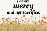 I want mercy and not sacrifice (Matthew 12:1–8)