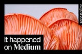 It happened on Medium: August 2024 roundup