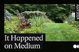 a garden with a black frame around it reading ‘it happened on medium’