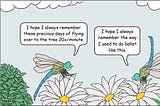 Dragonflies discuss memories and remembering.