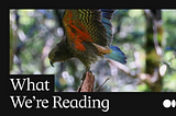 What We’re Reading: Find your new favorite publication