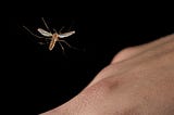 A mosquito about to fly onto a person’s hand.