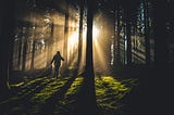 A hiker in a dark forest striding toward sunlight
