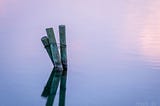 Dock piers sticking out of calm lake waters