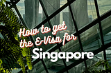 How to get the Singapore E-Visa from Canada.