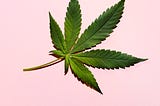 Why Exercisers Are Embracing Cannabis