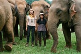 Trailer Watch: Thailand’s Elephants Find Sanctuary in “Love & Bananas: An Elephant Story”