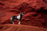 Just 15 Photographs of Majestic Horses in Iceland