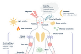 Bring invisible symptoms to life with a symptom map