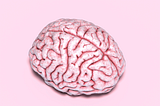 Our Brains Are Stuck in the Stone Age