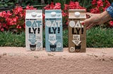 How Oat Milk Conquered America