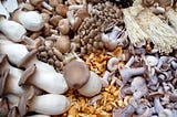 Are Mushrooms Really a Miracle Food?
