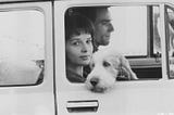 What ‘The Unbearable Lightness of Being’ Tells Us About Humans and Other Animals