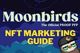 Moonbirds — Road to Becoming a Super Successful NFT. Marketing Guide.