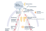 Visualizing the Long Covid experience