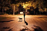 An ominous looking photo of a woman with her dog in an empty street at night.