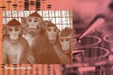 A collage of photos: macaque monkeys, a dropper, and a nucliec acid stain