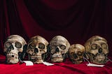 Our Skulls Are Out-Evolving Us
