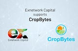 Exnetwork Takes a Byte of NFT and Crypto Farm, CropBytes