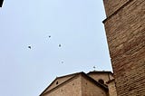 Several blackbirds fly above some old brick buildings against an overcast sky.