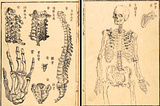 Illustrations of human bones from Kaitai Shinsho.