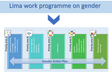 4 recommendations for the path towards COP27: gender equality and climate change