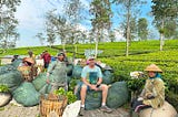 man in tea plantation with workers posing for photos surrounded by bags of harvested tea leaves