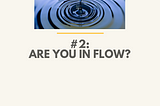 Are You in Flow?