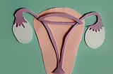 A collage of the female reproductive system.