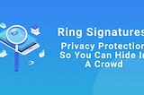 Ring Signatures: Privacy Protection So You Can Hide In A Crowd