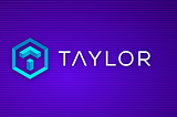 The BR11 Token Portfolio — Presenting Taylor!