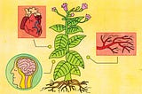 Here’s How Nicotine Affects Your Brain