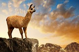 Everything you need to know about LLaMA