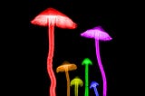 bright coloured x rays of mushrooms