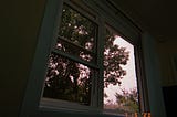 Photo dated to 7/15/2020 of a window with slightly light pink sky.