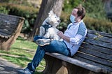 Cats, Dogs, and the Coronavirus: What You Need to Know