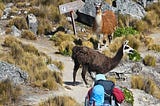 Packing for a Mountaineering Expedition