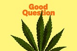 Can I Overdose on Cannabis?