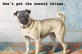 Don’t pet the sweaty things.