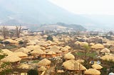 Life in a Thatched Roof Village