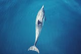 High-speed inserts with MySQL