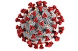 What the Coronavirus Image You’ve Seen a Million Times Really Shows