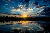 My Journey Into Photography: From Digital Beginnings To Film Exploration