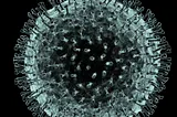 A photo of a coronavirus.