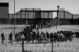 This black-and-white photograph shows a long line of migrants or asylum seekers, surrounded by barbed-wire fences, walking single file toward a heavily secured border gate, evoking a strong sense of containment and control. The border structure features a large gate and tall, vertical steel slats in the background. Border guards suggest an organized processing at a border checkpoint. The setting, terrain, and security measures reflect a tense, highly controlled border environment. (AI generated)