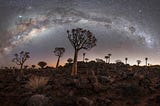 A fine art photograph of a starry sky and the silhouettes of beautiful and almost alien trees