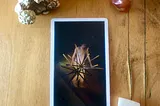 Scary Tarot: The Card That Leaves the Grind Behind