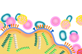 Inside the Making of the Flu Vaccine