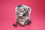 Get Scary With This Vegan Spooky Spider Crackle Cake!