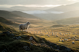 The Lost Sheep and the Son of Man